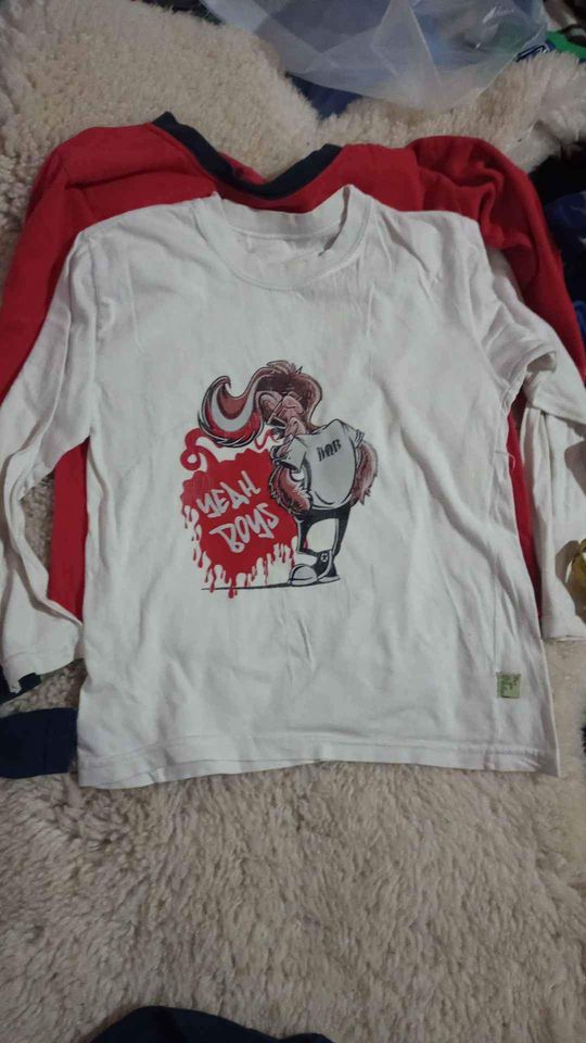 Remeras manga larga talle 10 leer descripción